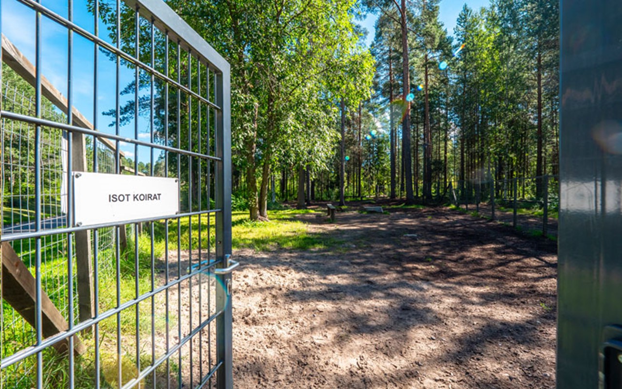 Oulun mäntylän koirapuisto