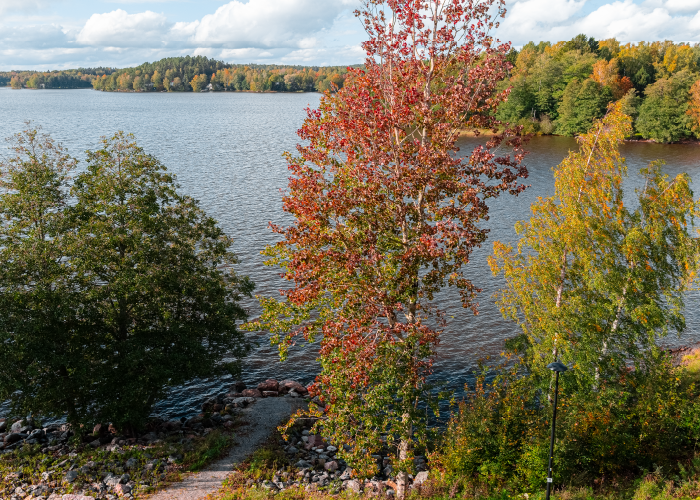 Lohjan Hiidensalmen Aavan syksyinen maisema järvelle