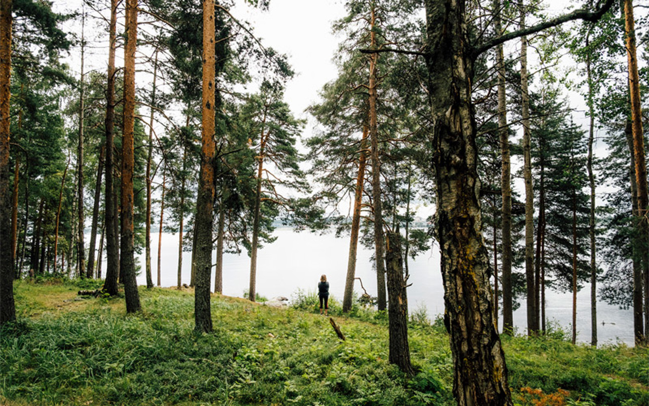 Valokuva Tampereen Lentävänniemen metsästäalueesta, jossa henkilö seisoo katse kohti Näsijärveä