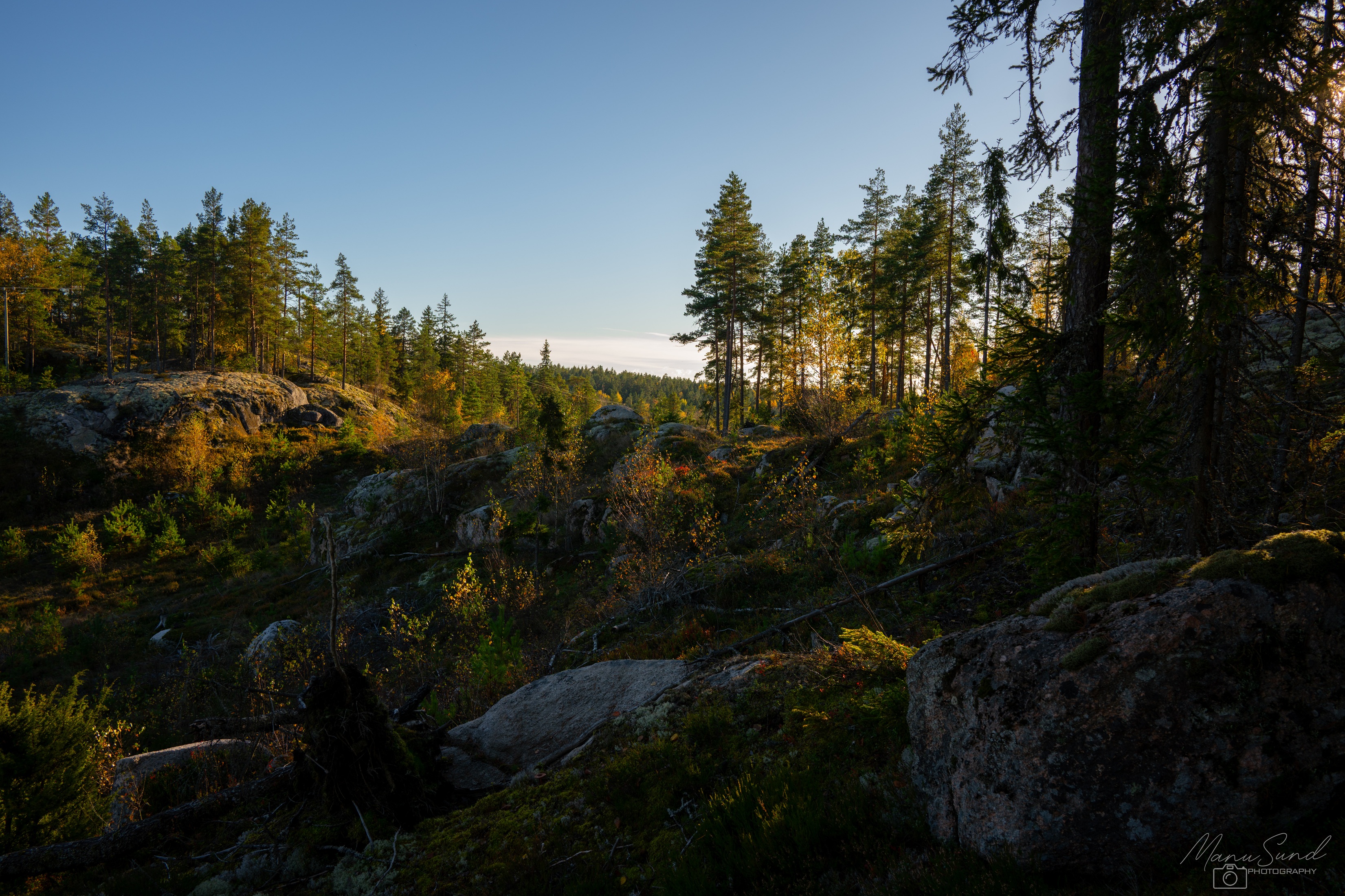 DSC_3919 (1).jpg