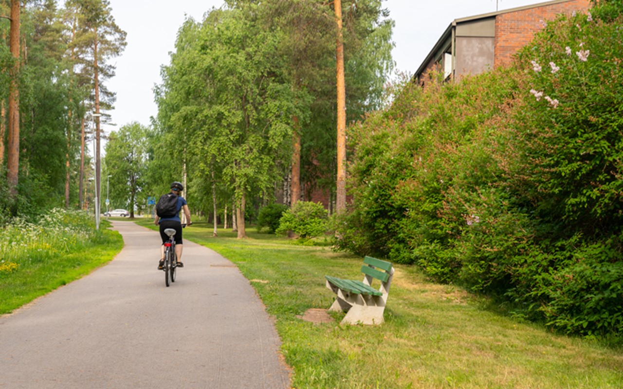 Polkupyöräilijä Oulun Mäntylän vehreällä pyörätiellä.