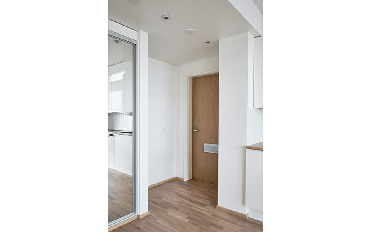 Hartelan Myyrin Terra B79 eteinen